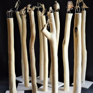 INSECT MEETING . Buchsbaum . 30x30xca150 cm