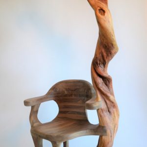 PANGOLIN . Amerikanischer Nussbaum, Pflaume und Leder . 84x60x179 cm