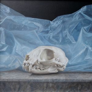 MEMENTO MORI - MIT KATZE . 2016 . Öl auf Leinwand auf Platte . 30x30 cm