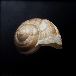 SCHNECKENHAUS . 2019 . Öl auf Leinwand auf Platte . 30x30 cm