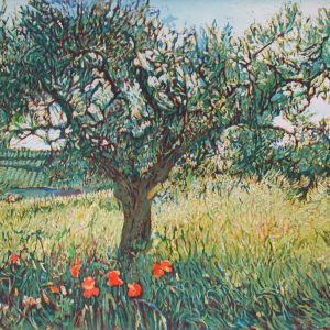 OLIVENBAUM UMD KLATSCHMOHN . Aquatinta mit 3 Platten . Bildformat: 15x20 cm . Blatt: 28x35 cm