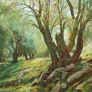 OLIVENHAIN KRETA III . 2003 . Aquatinta mit 3 Platten . Bildformat: 35x49,5 cm . Blatt: 50x65 cm