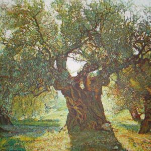 OLIVENHAIN V . 2003 . Aquatinta mit 3 Platten . Bildformat: 20x30 cm . Blatt: 39,5x50 cm