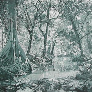 TROPISCHER REGENWALD - THAILAND . 2013 . Aquatinta . Bildformat: 35x50 cm . Blatt: 50x60 cm