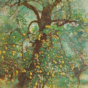 ZITRONE UND OLIVE . 1998 . Aquatinta mit 3 Platten . Bildformat: 20x14 cm . Blatt: 35x28 cm