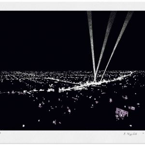 Hollywood-Edition . THE NIGHT . Siebdruck . Blattformat: 70x90 cm
